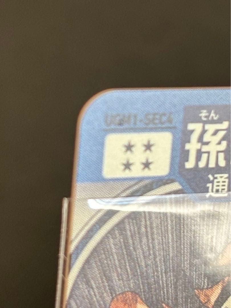 孫悟空　UGM1-SEC4