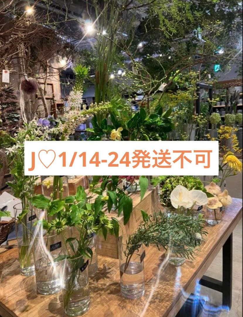 J♡1/14-24発送不可　専用出品