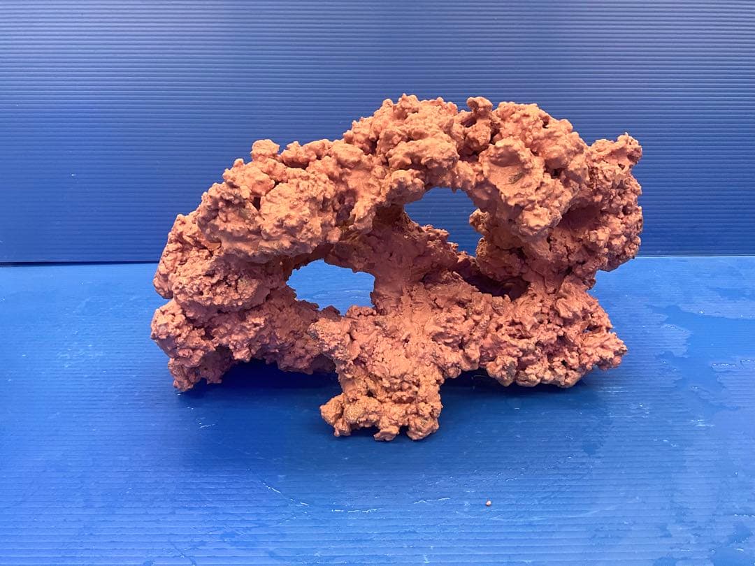 人工ライブロック　No.41. 無害化処理済