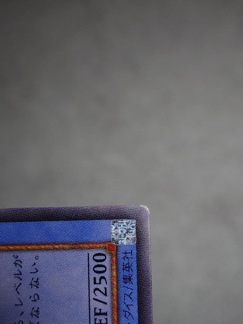 カオスソルジャー カオス・ソルジャー