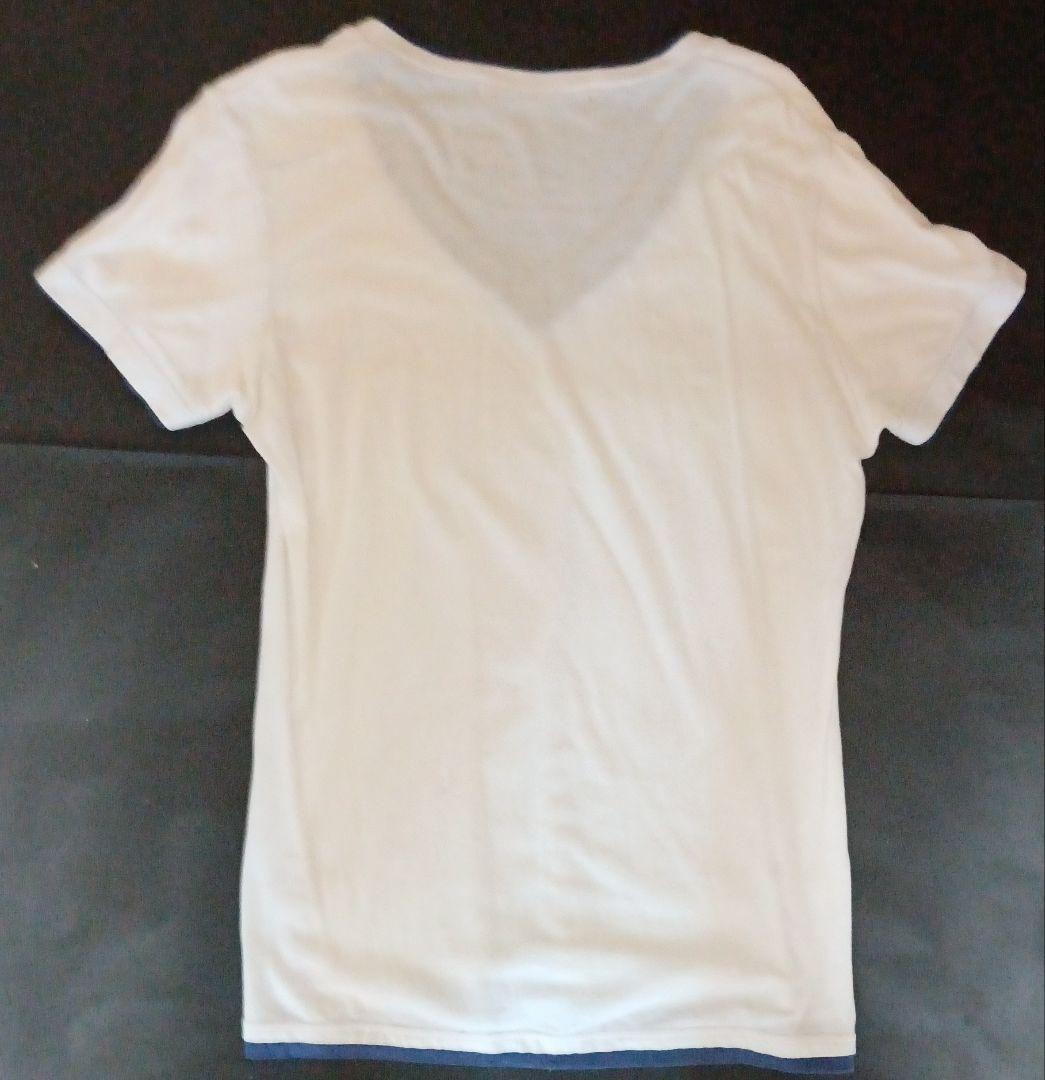 【No.38】ミスチル 桜井着 フランシストモークス カットソー＆ジレ 未完