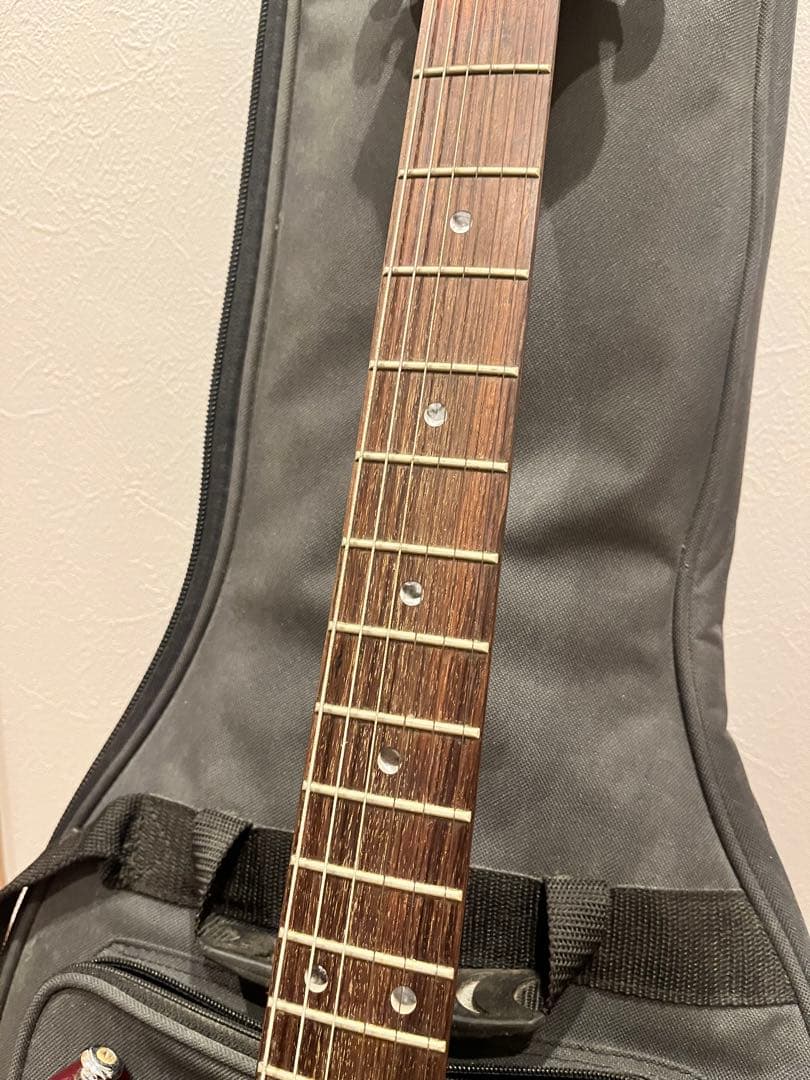 PRS SE Custom 24 ポールリードスミス