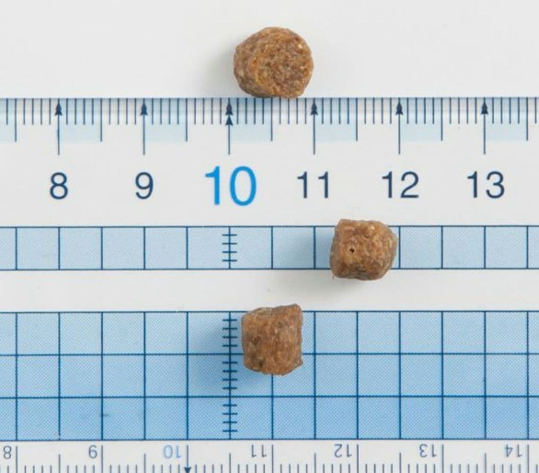 bosch ミニアダルト ドッグフード新品 未開封