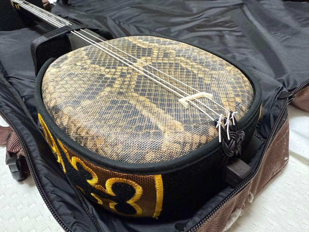 三線本体と専用ケース