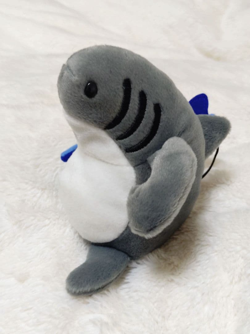 クレイジーシャツ　シャーカ　サメ　ハワイ　西野七瀬 コケタニくん　入手困難