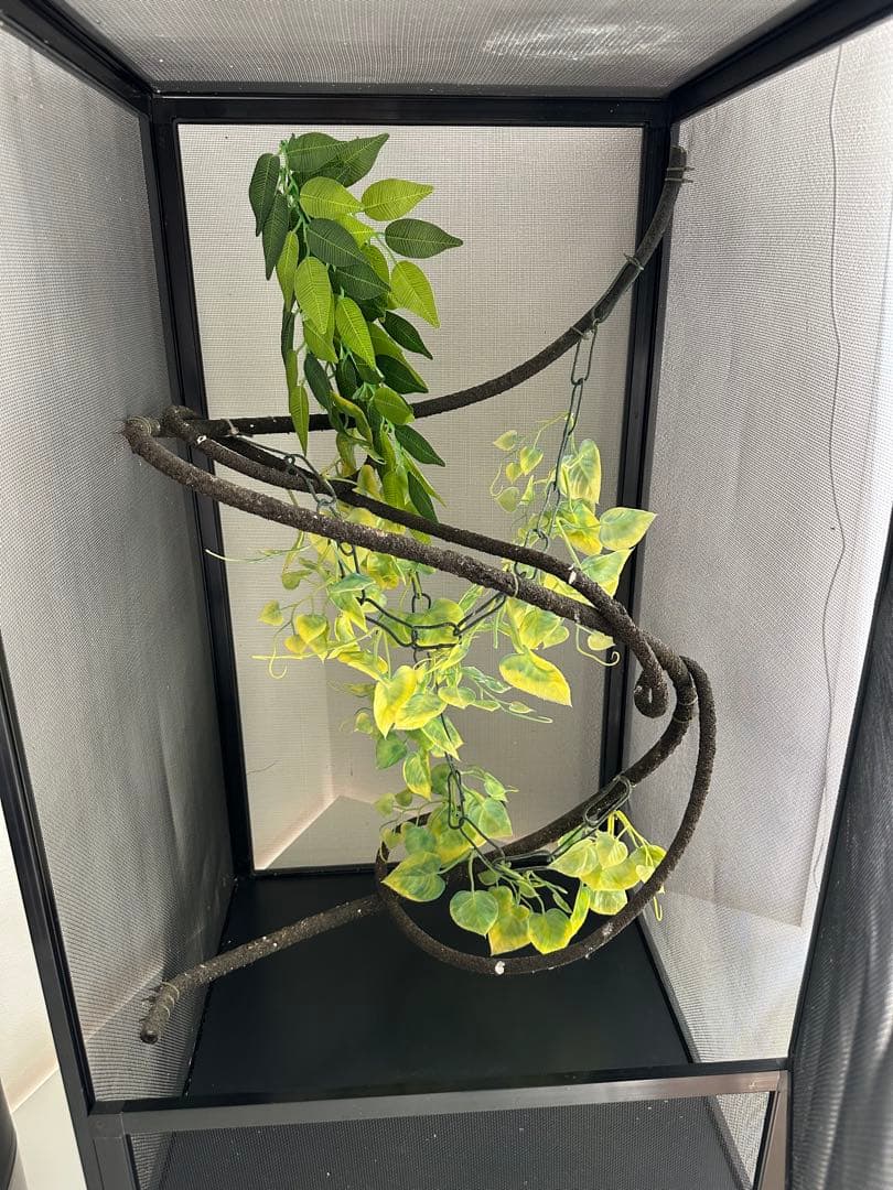 爬虫類　カメレオン　飼育　5点セット　ケージ　UVライト ヒーティングトップ