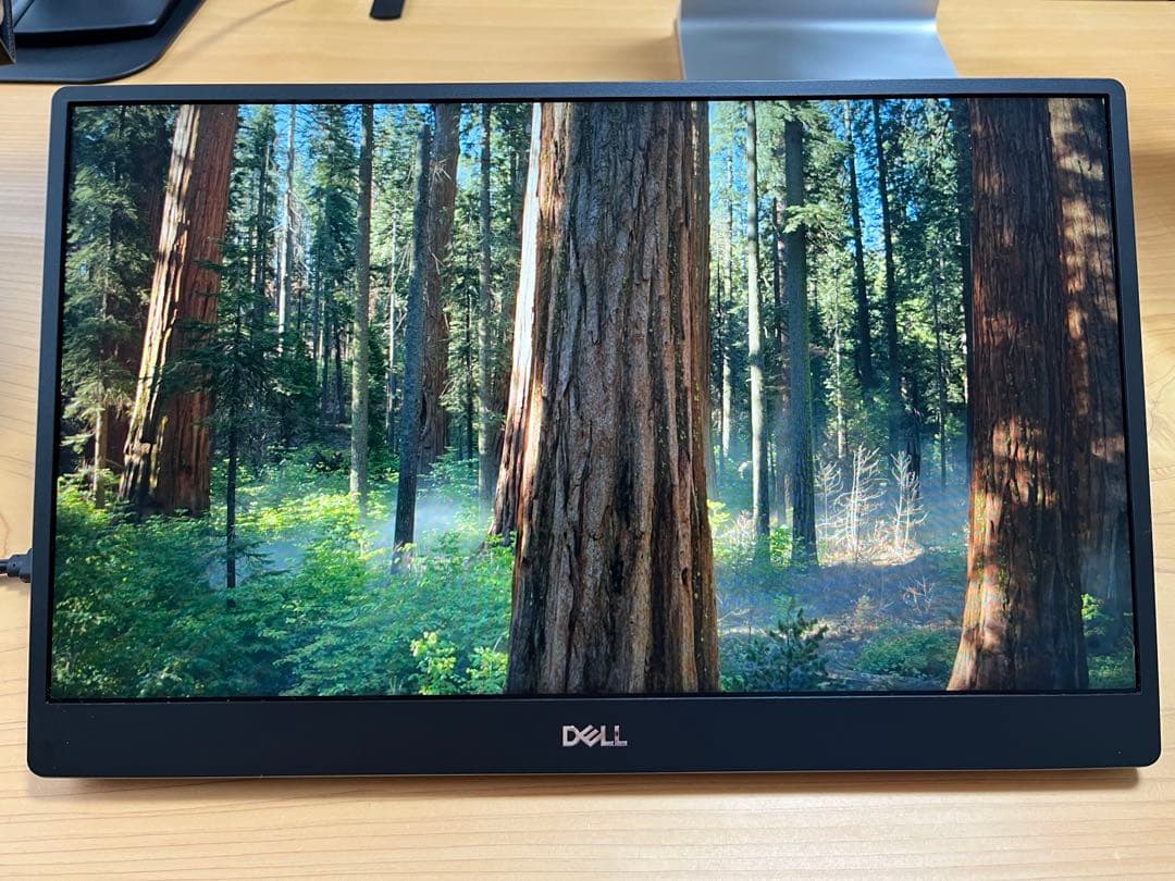 Dell 14 ポータブル モニター - P1424H