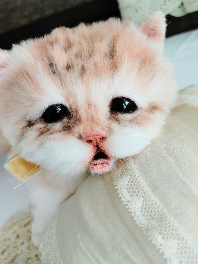 １体限定❤マンチカン子猫ちゃん♡ぽちゃボディ♡よちよちあんよ♡アートドール♡