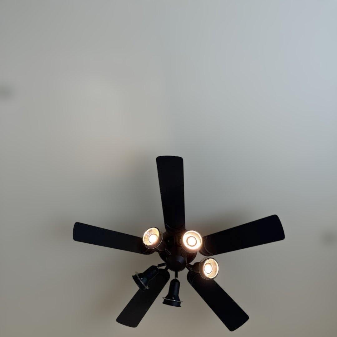 美品　レア　オーデリック　黒ファン　 元値　6万円