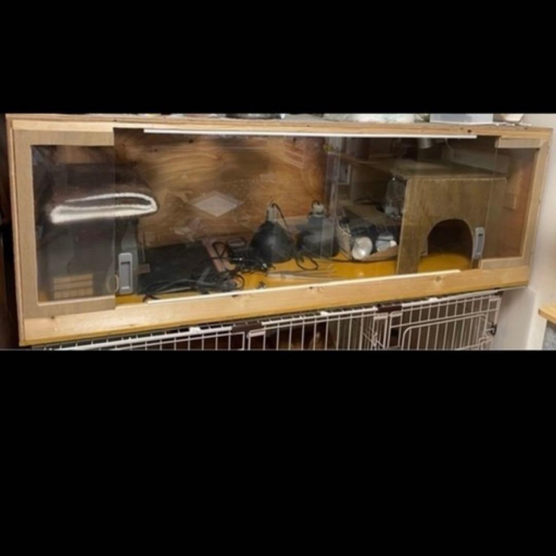 160cm大型爬虫類ケージ 引き取り