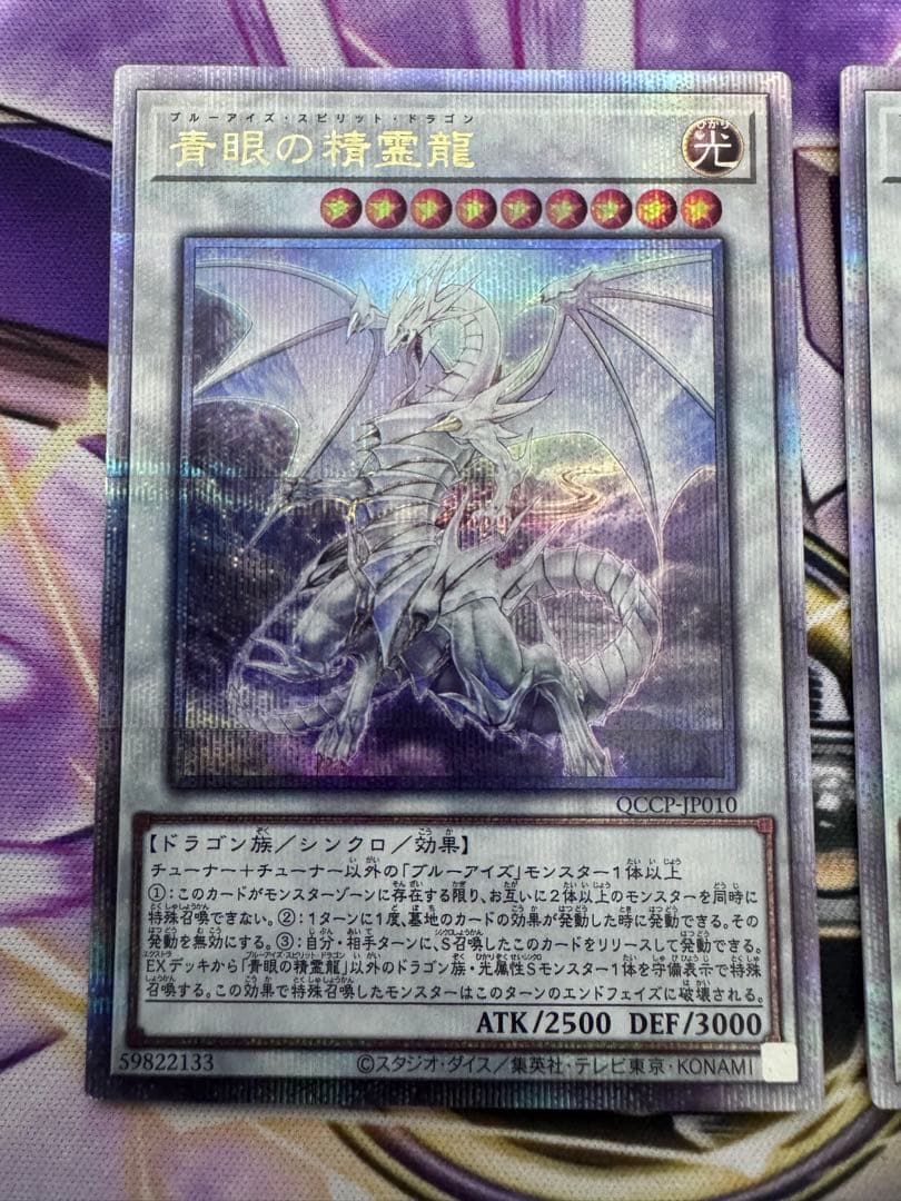 遊戯王　青眼の精霊龍　クオシク3枚　25th