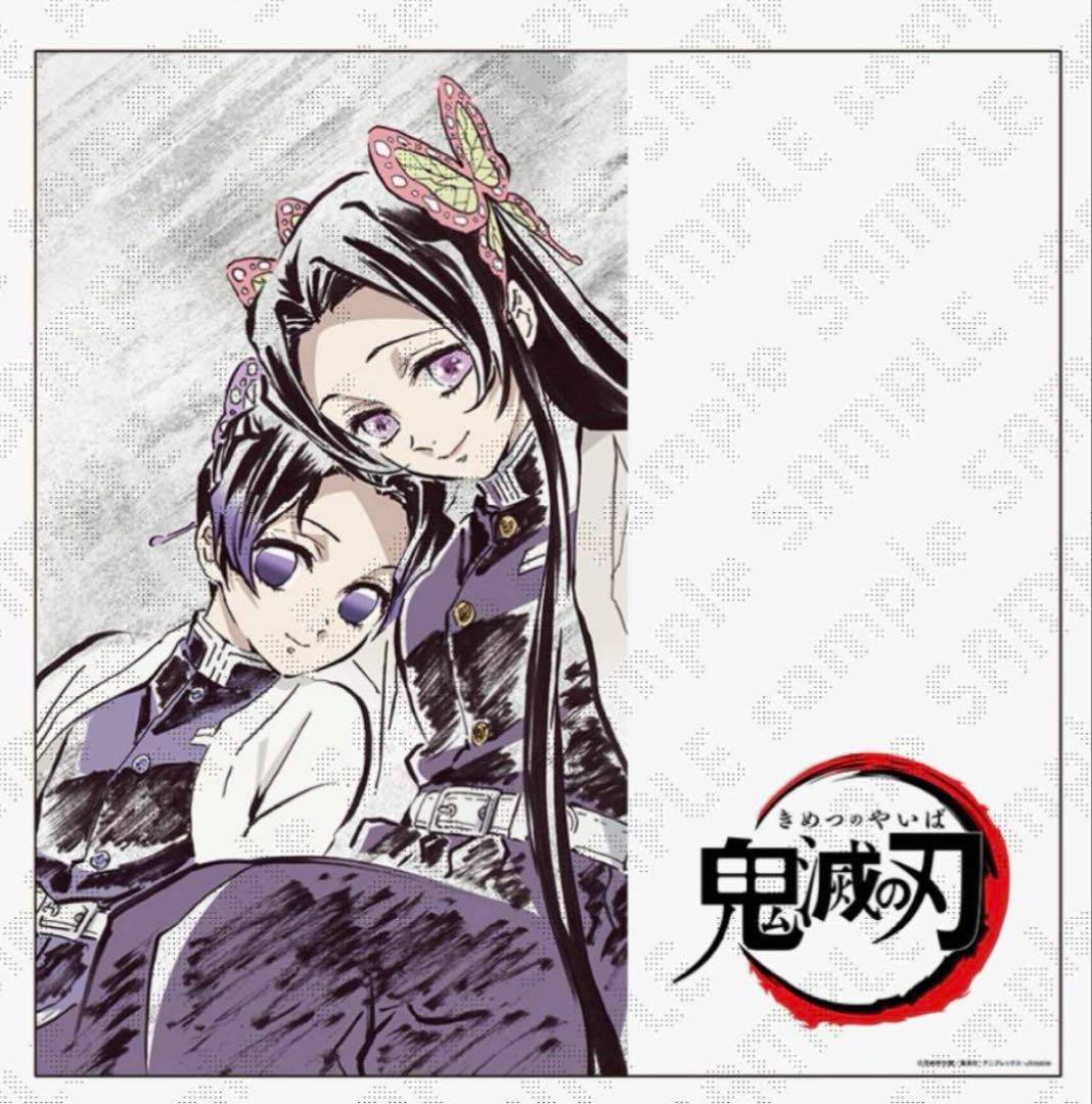 鬼滅の刃 柱稽古編 アイキャッチビッグポスター 胡蝶しのぶ　カナエ