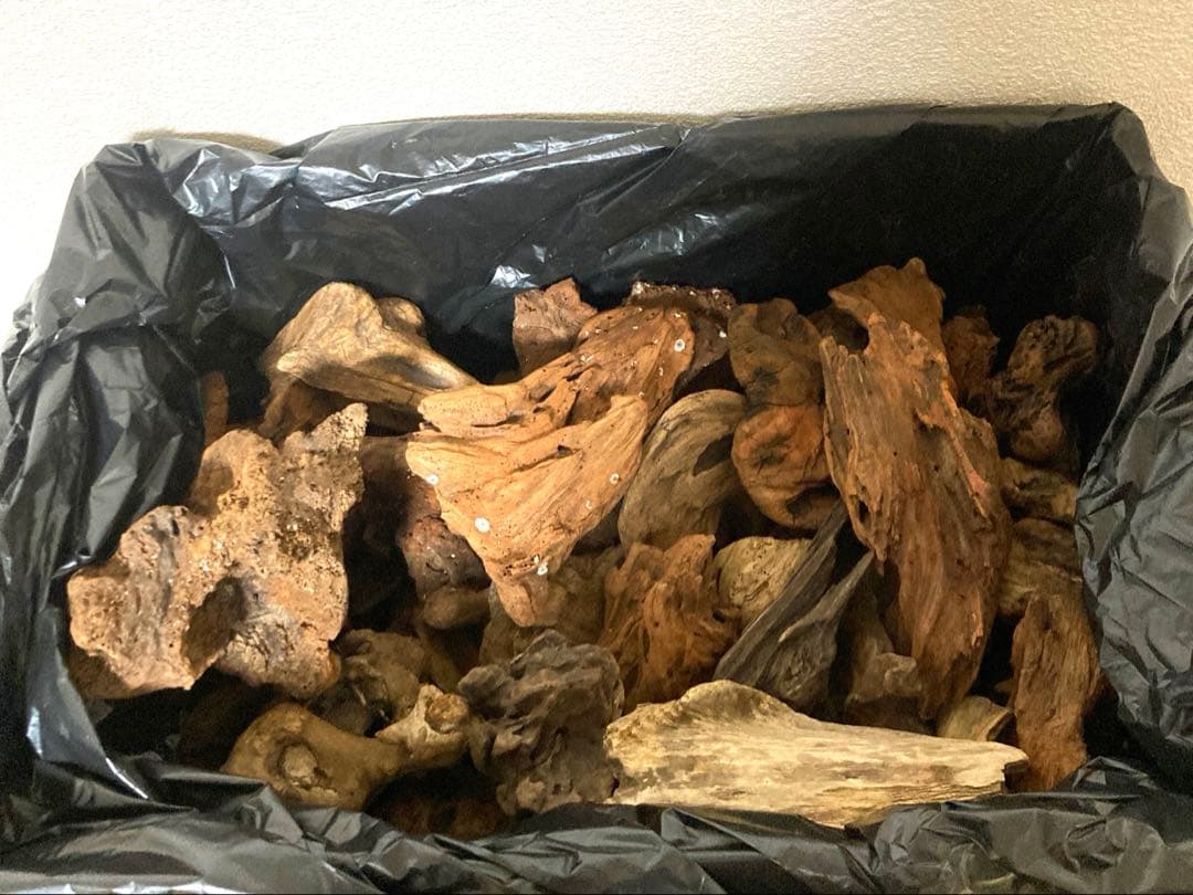 poke.Y 流木セット 【自然沈水確認済み】