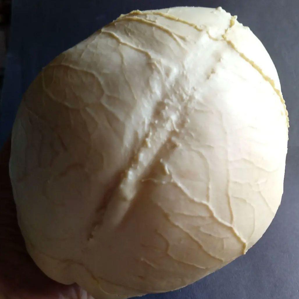 Brain　脳　Born Clones　アメリカ製　模型