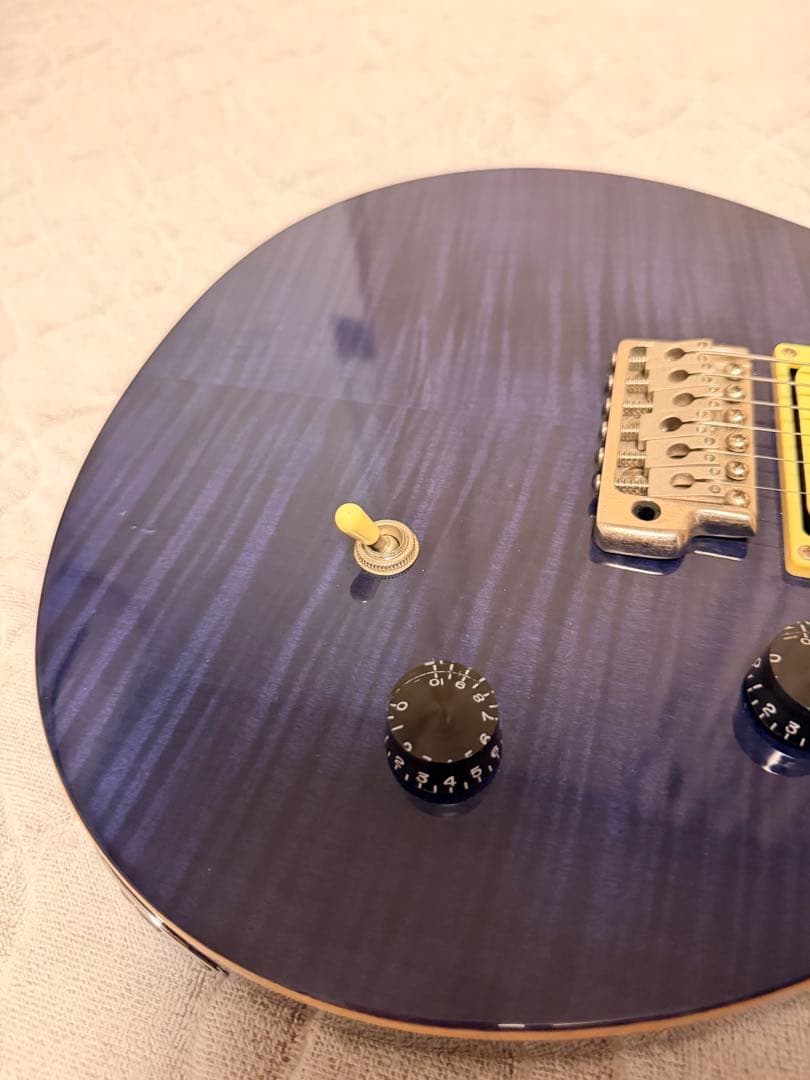 さぼてん様 PRS SE custom ポールリードスミス