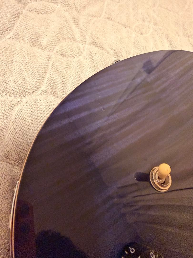 さぼてん様 PRS SE custom ポールリードスミス