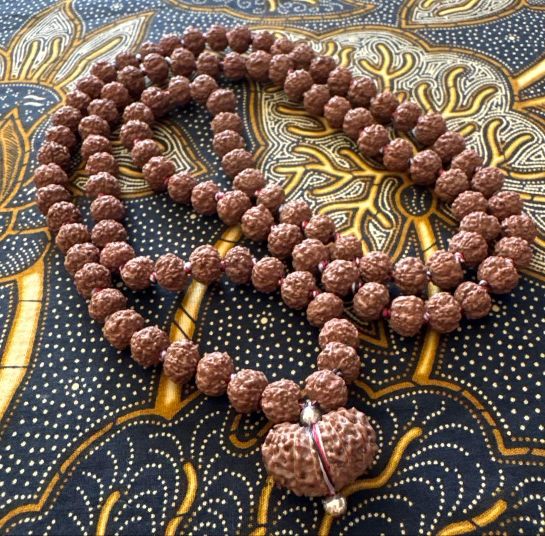 ルドラクシャマーラー　トップ　ガウリシャンカール　14ムキ　②