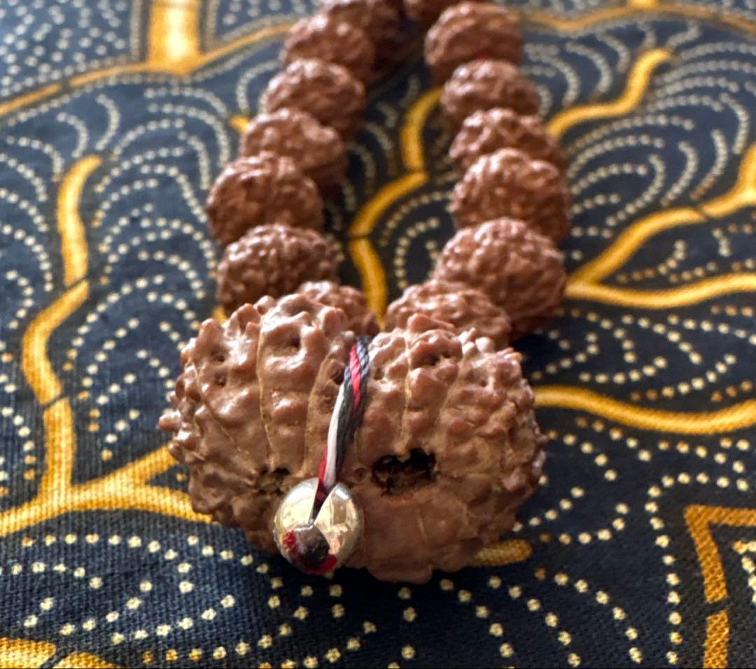 ルドラクシャマーラー　トップ　ガウリシャンカール　14ムキ　②