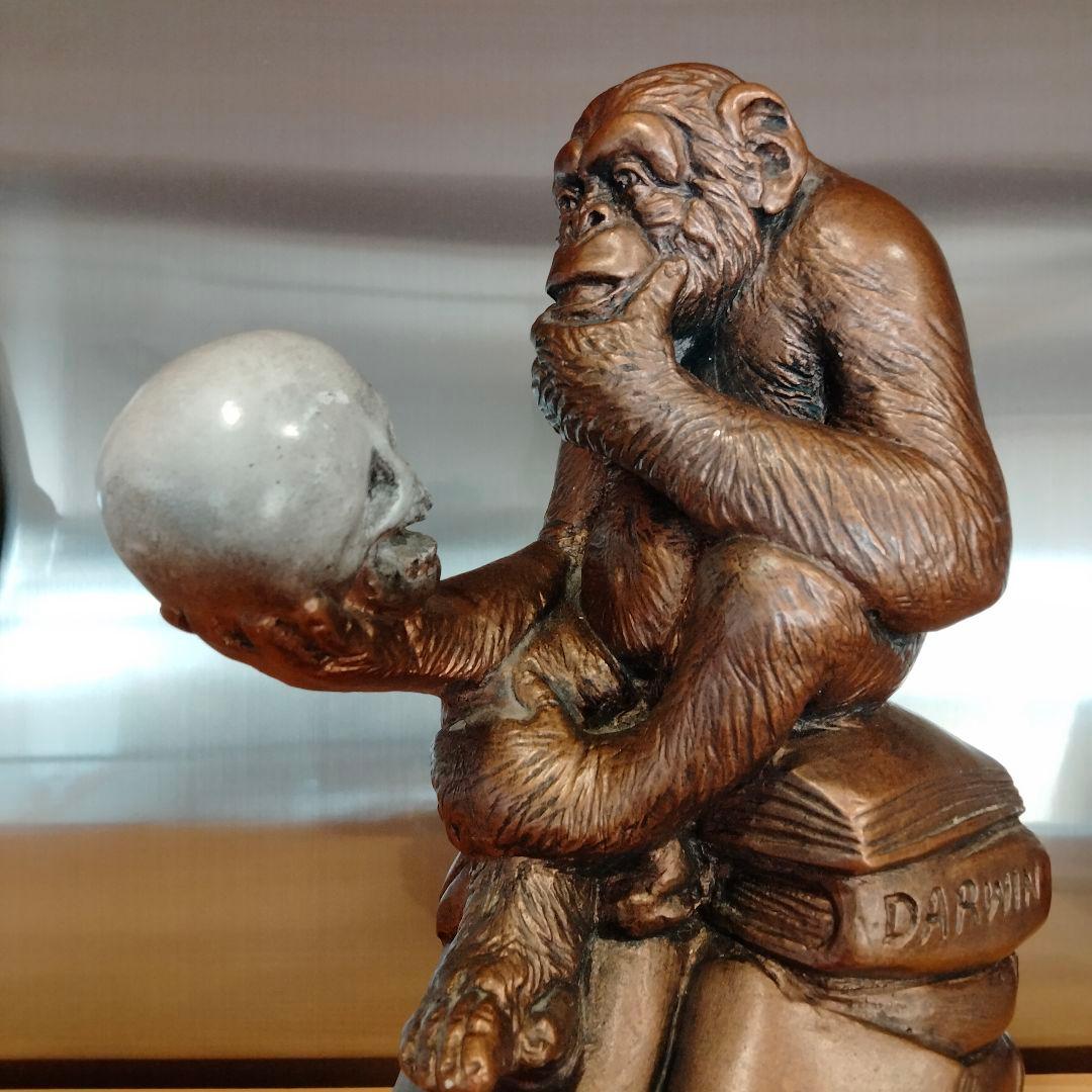 60s ダーウィン　スカル　ドクロ　モンキー　ビンテージ 毛なみ