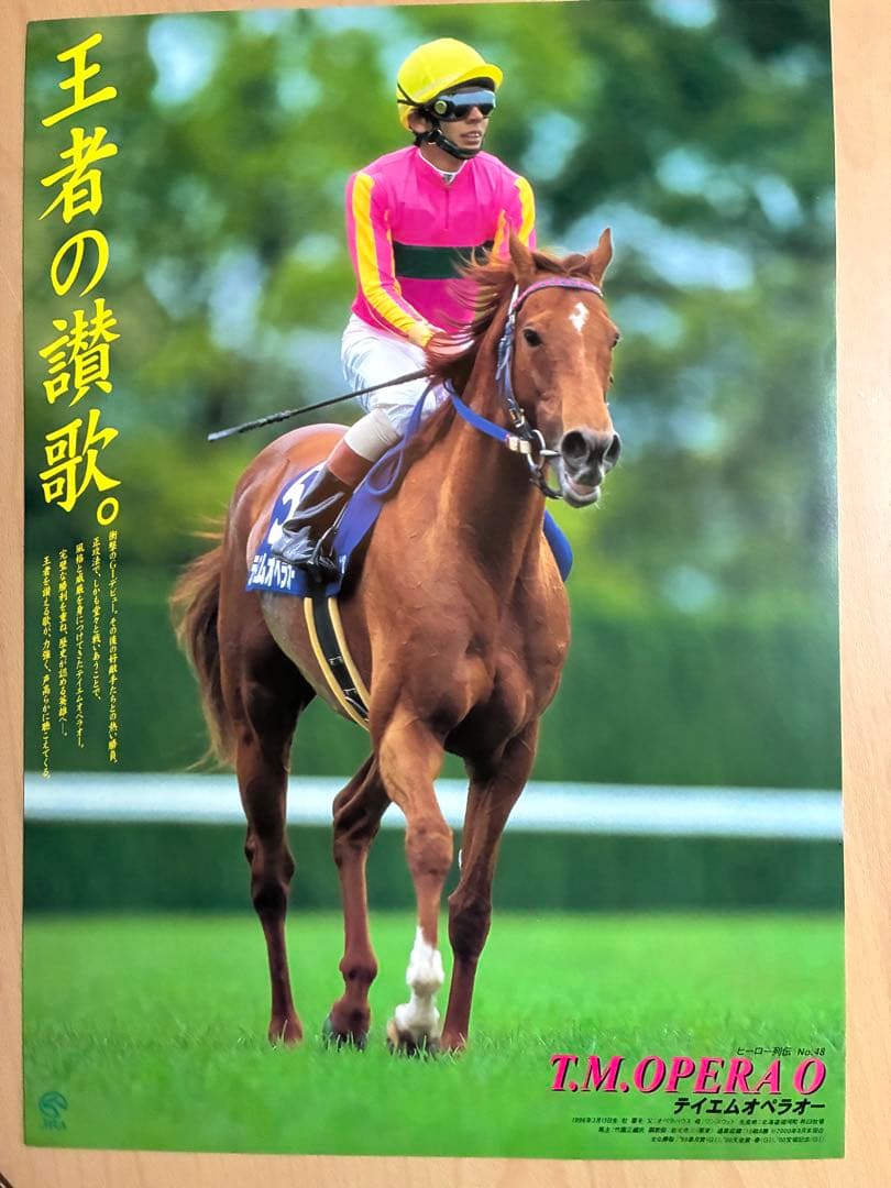 JRAヒーロー列伝　No.48 テイエムオペラオー