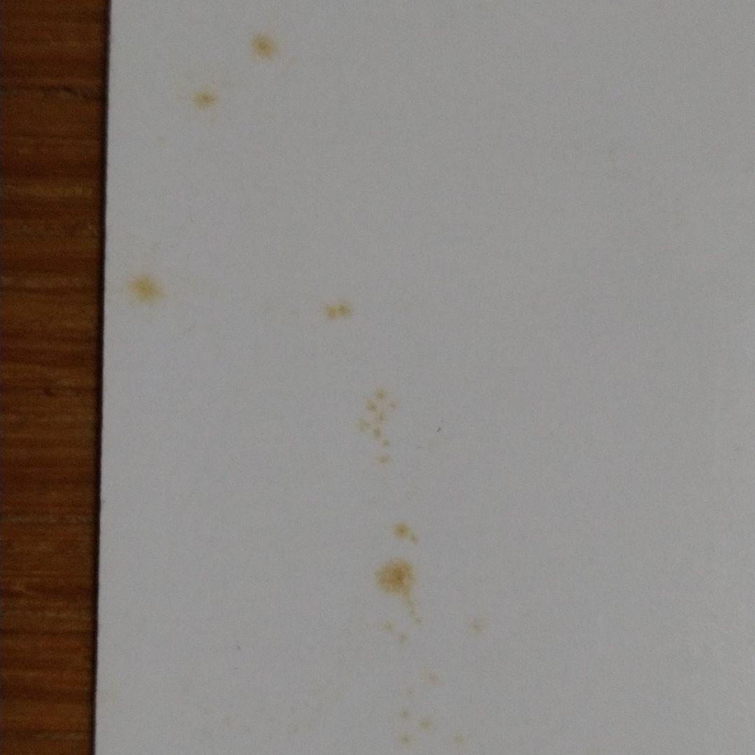 LUNA SEA　オフィシャル　ファンクラブ　カレンダー