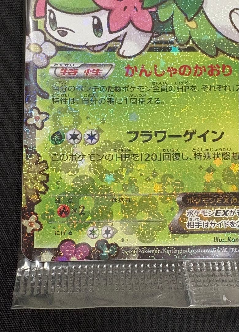 ポケカ　シェイミEX　ポケキュン　プロモカード