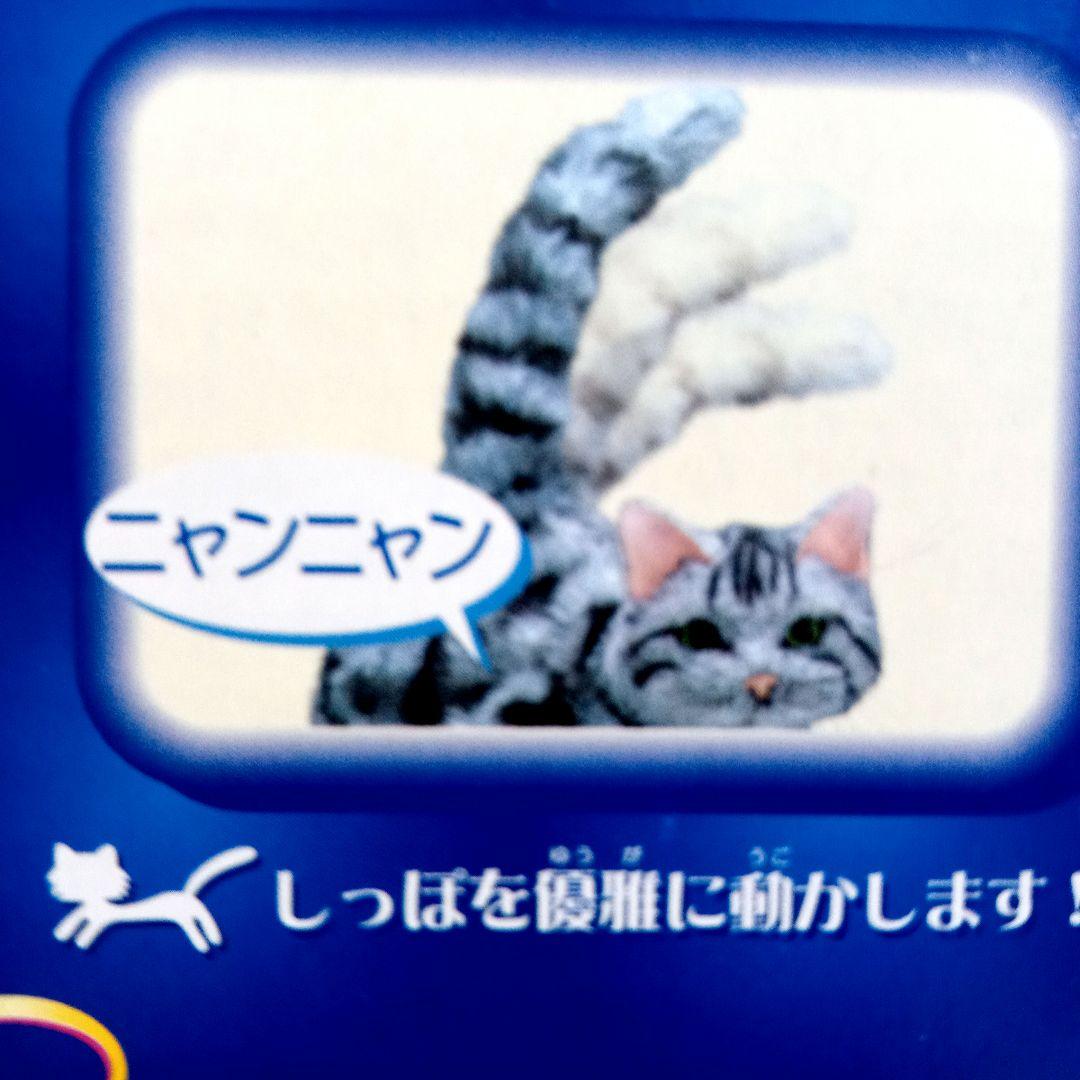 夢ねこ♡アメリカンショートヘア♡あなたのパートナー！　【新品未開封】