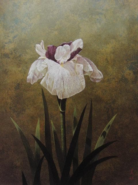 河合美江、花菖蒲、希少な画集より、新品高級額・額装付、状態良好