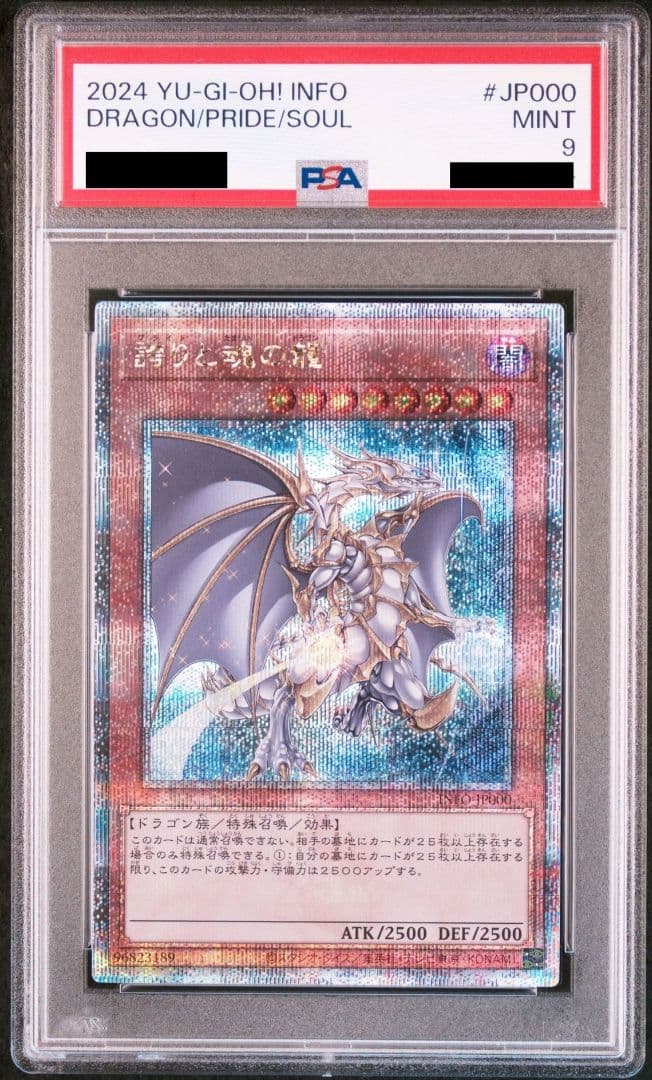 PSA9 誇りと魂の龍