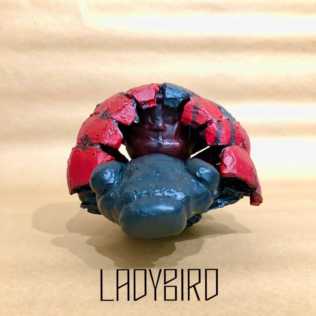 【2026年発表】『Ladybird』Darma