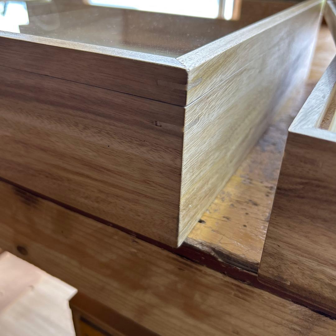 中型厚型標本箱　2箱