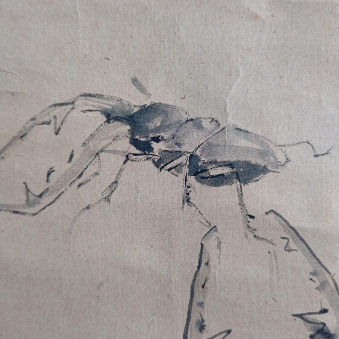 クワガタ図 掛軸 大須賀喬
