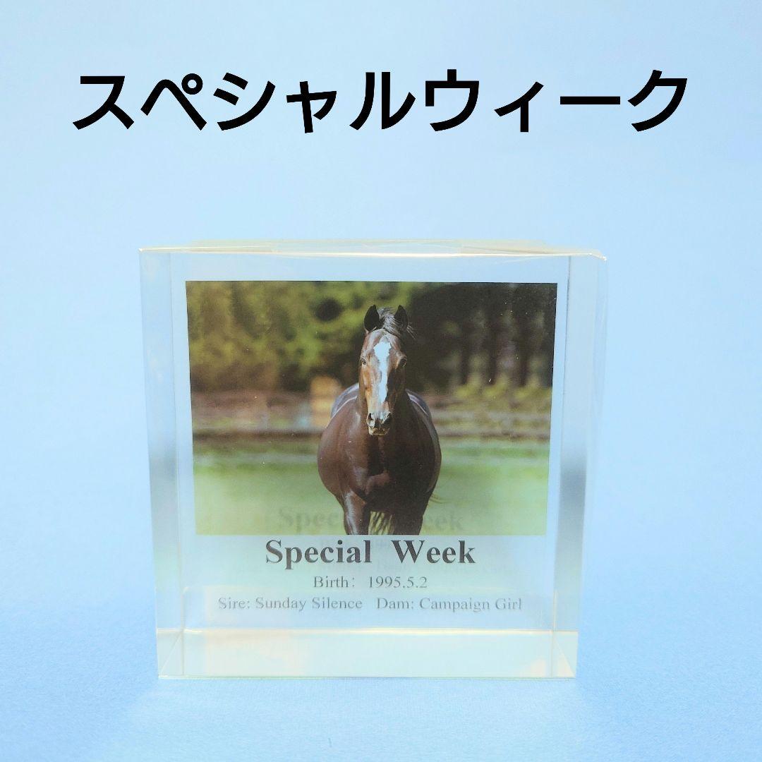 【希少新品】スペシャルウィーク競馬ぬいぐるみウマ娘 アイドルホース馬AVANTI