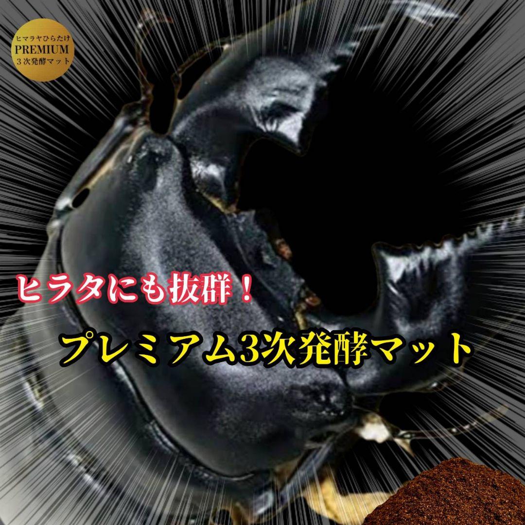 アンタエウスに抜群！プレミアム3次発酵マット【40リットル】バクテリア強化配合