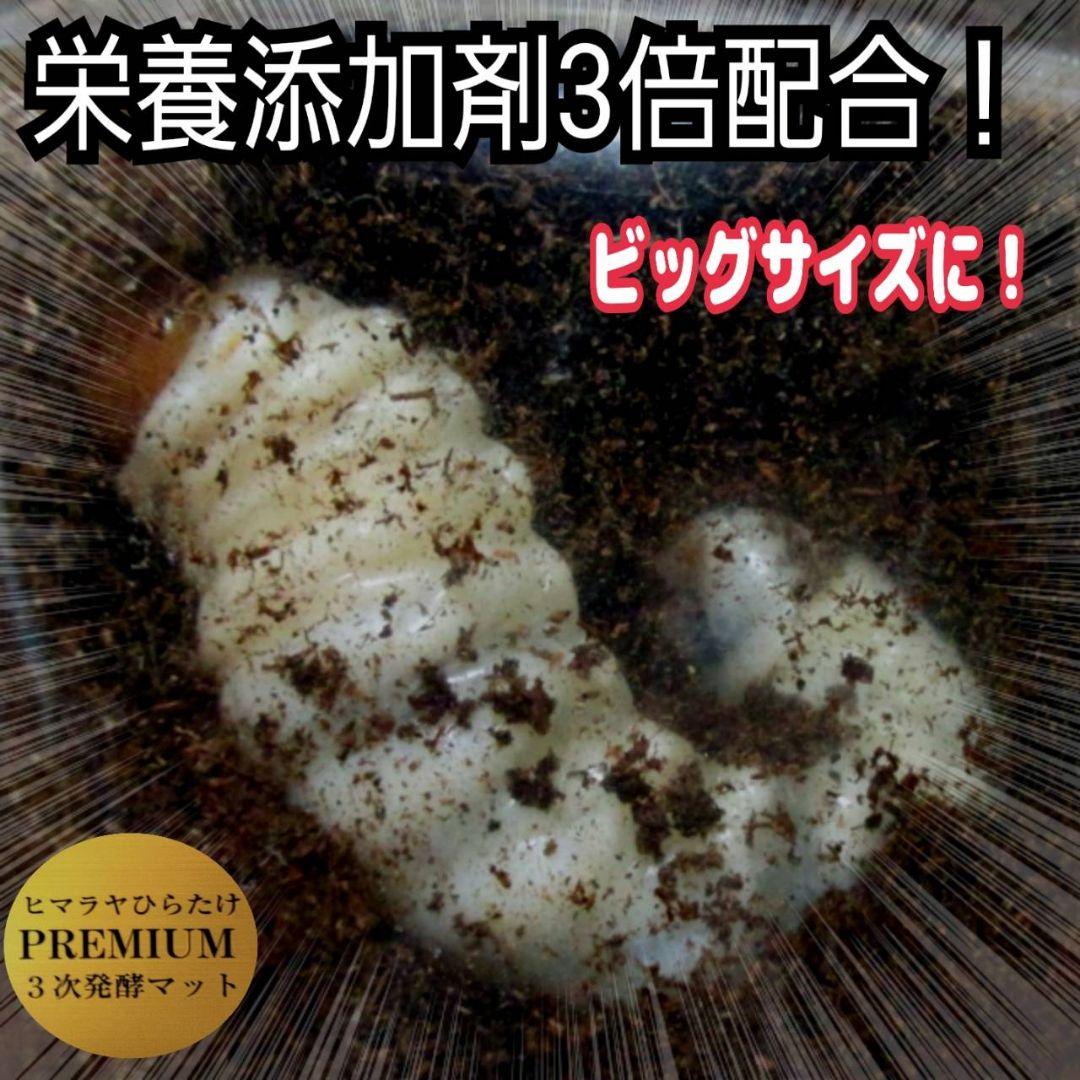 アンタエウスに抜群！プレミアム3次発酵マット【40リットル】バクテリア強化配合