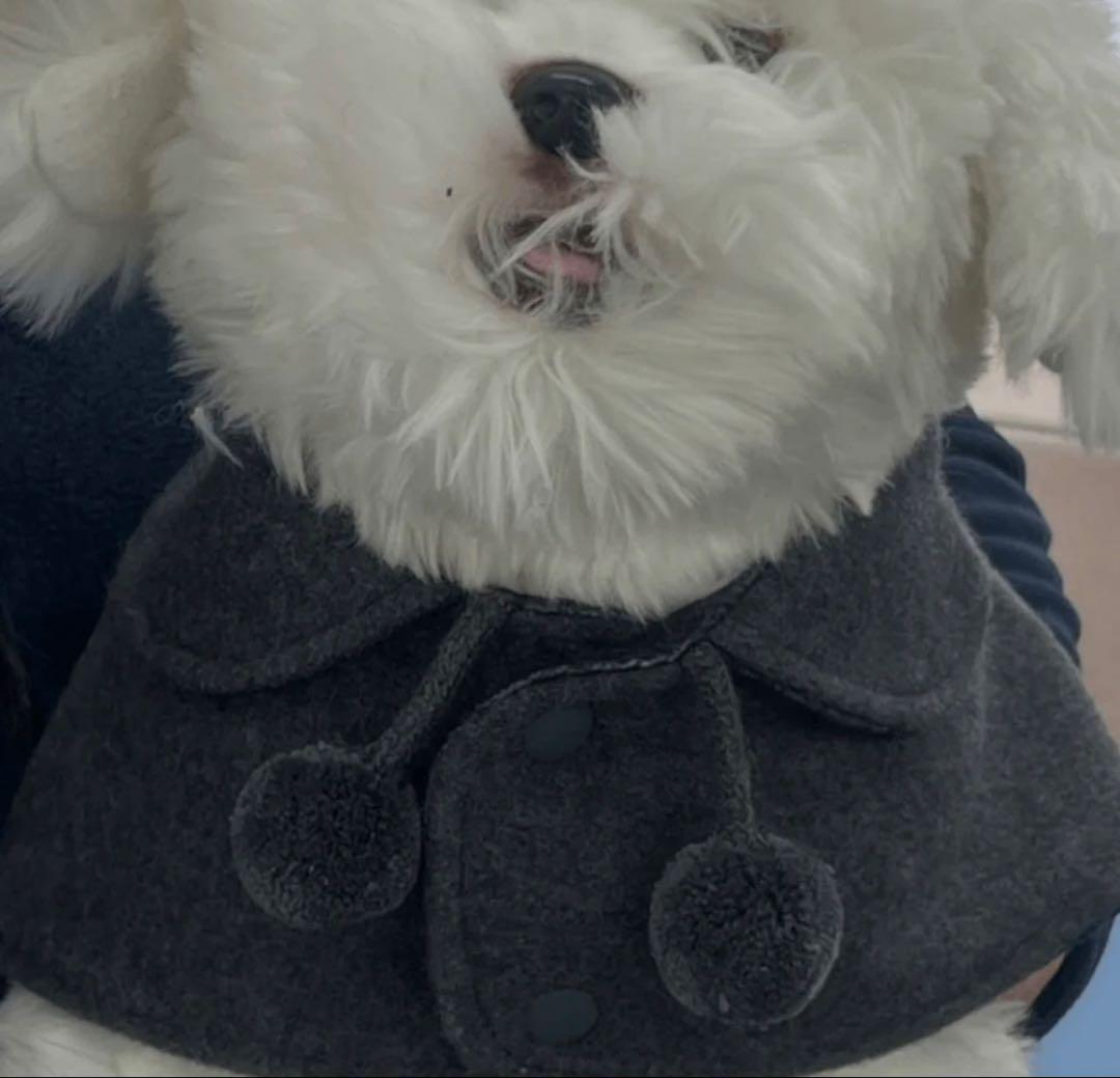 韓国犬服ブランド　リバーシブルウールポンチョ