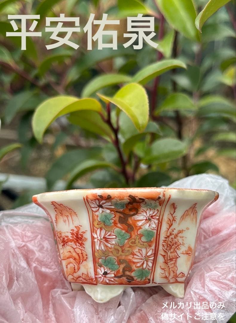 平安佑泉　盆栽鉢　ミニ盆栽　豆鉢