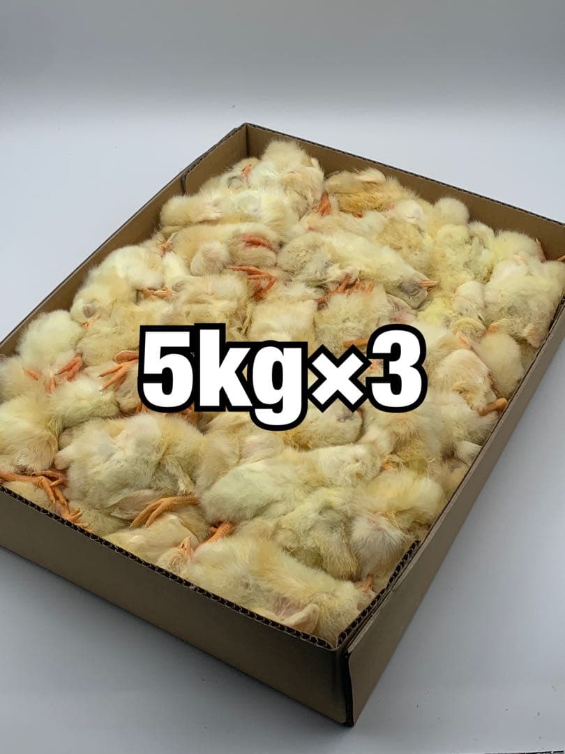 冷凍ヒヨコ5kg×3段【送料込】