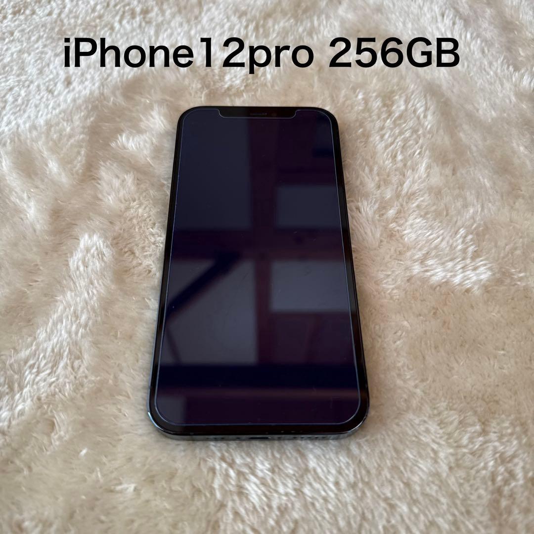 Apple iPhone 12 Pro パシフィックブルー 256GB