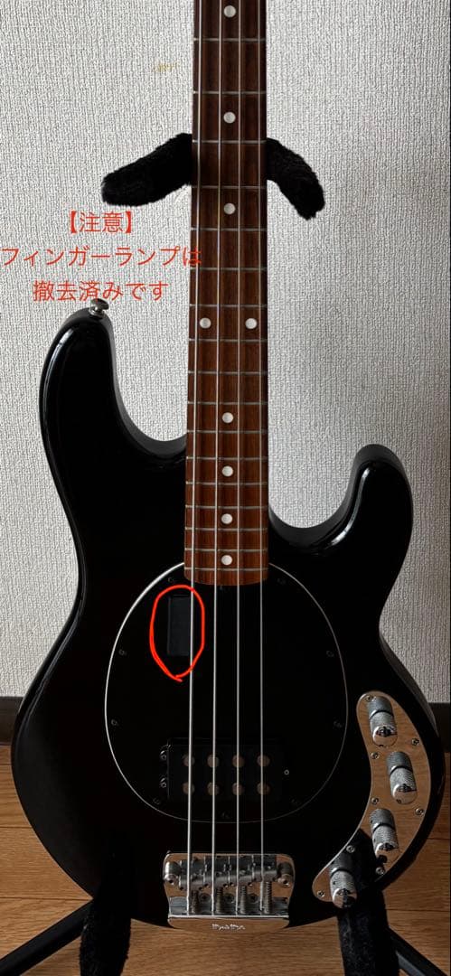 ベース MUSIC MAN Stingray EX