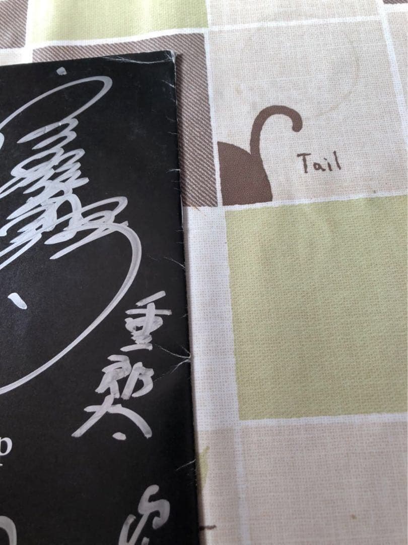 ストレンヂア 直筆イラストサイン入り 宮野真守 南雅彦 安藤真裕 ジャンク品