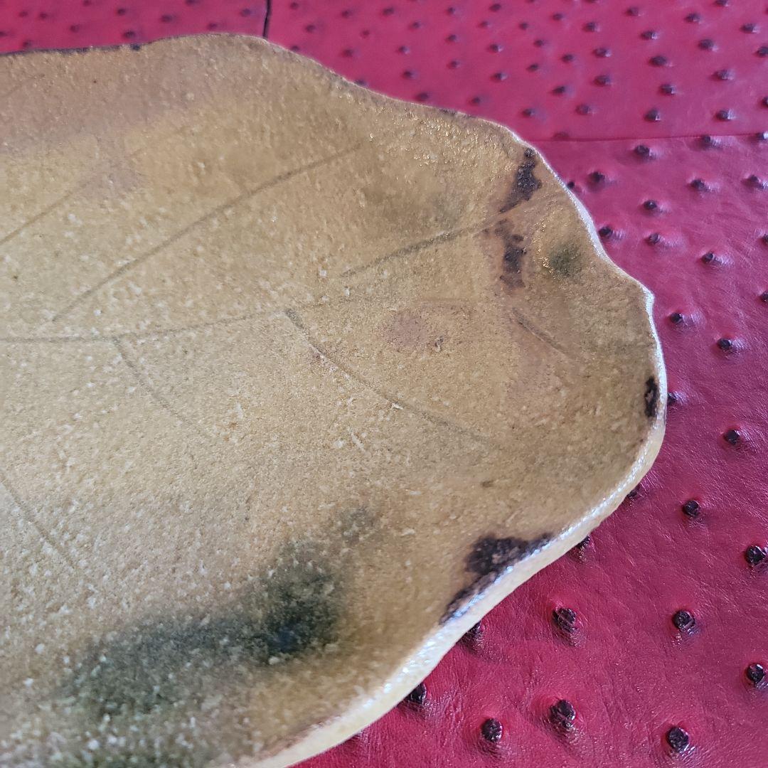 各務 周海 黄瀬戸木葉皿