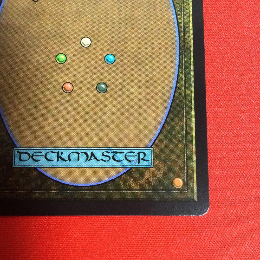 霧深い雨林　Misty Rainforest　ドラゴンスケイル　foil