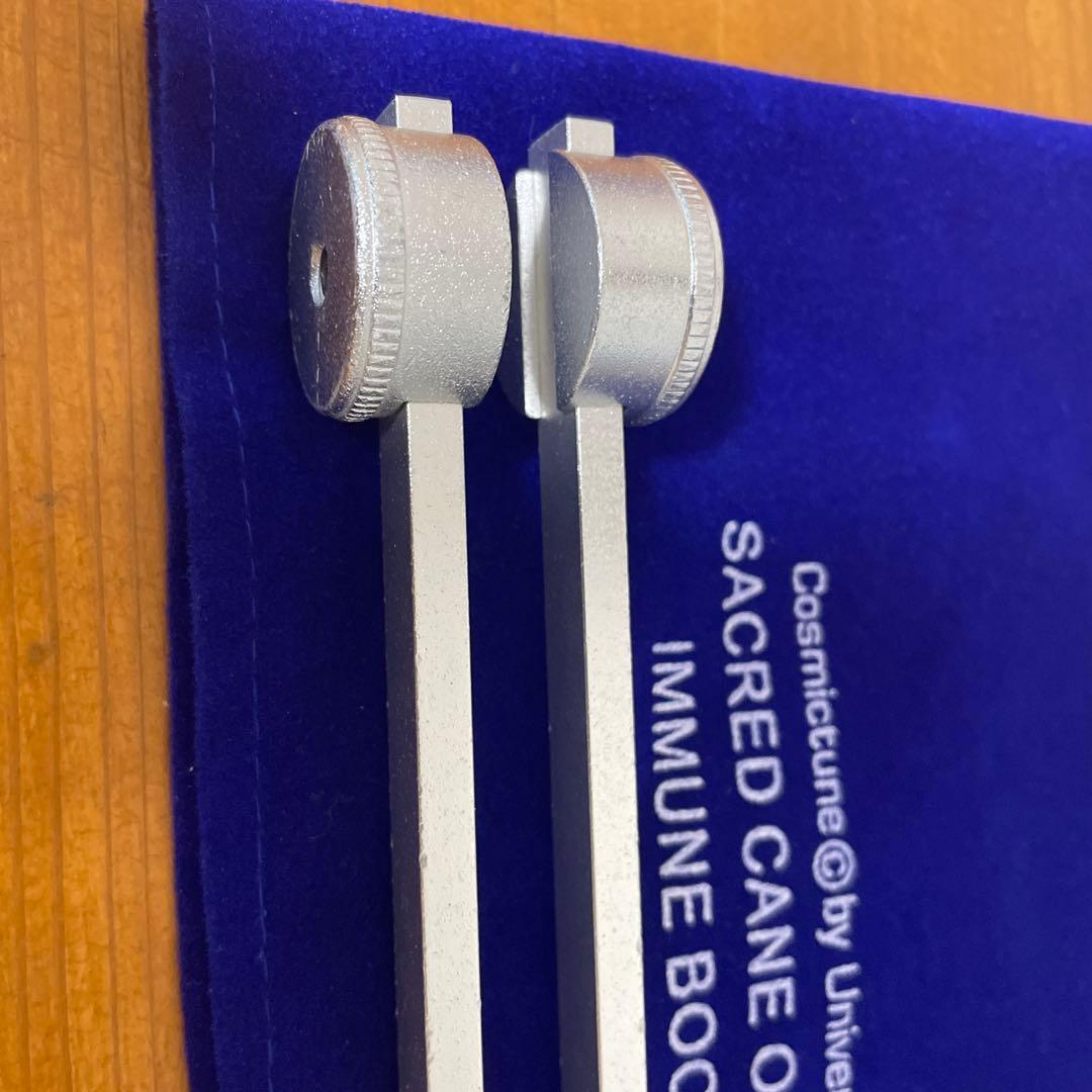 増川いづみ　音叉　ヒュゲイヤの杖　へヴィーフォーク