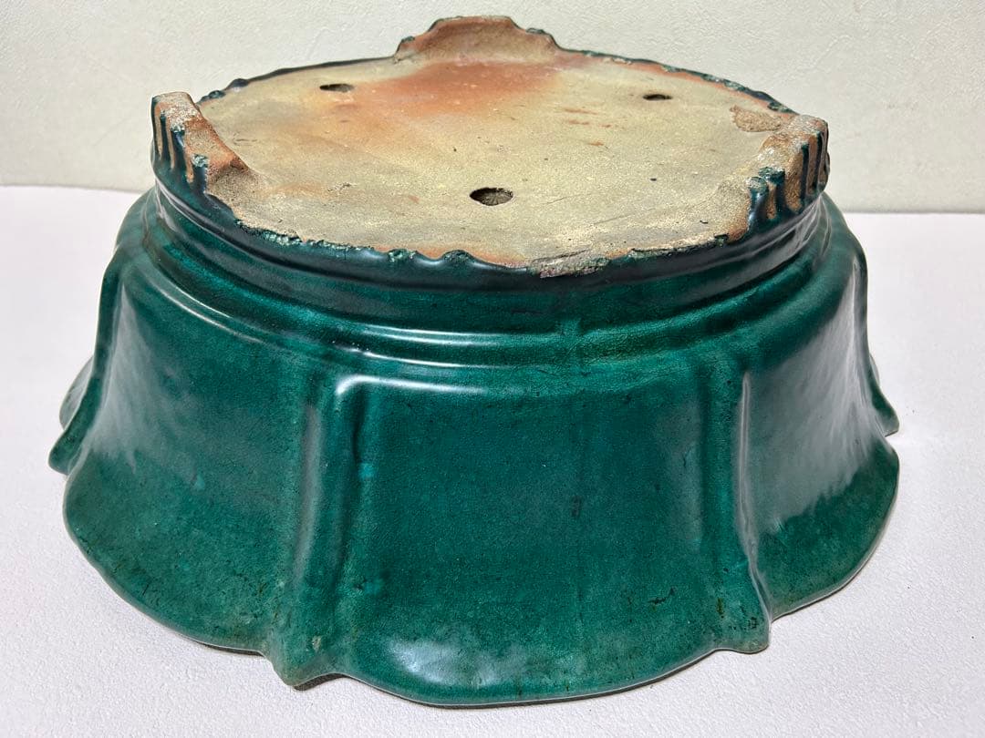 大型　広東鉢　盆栽鉢