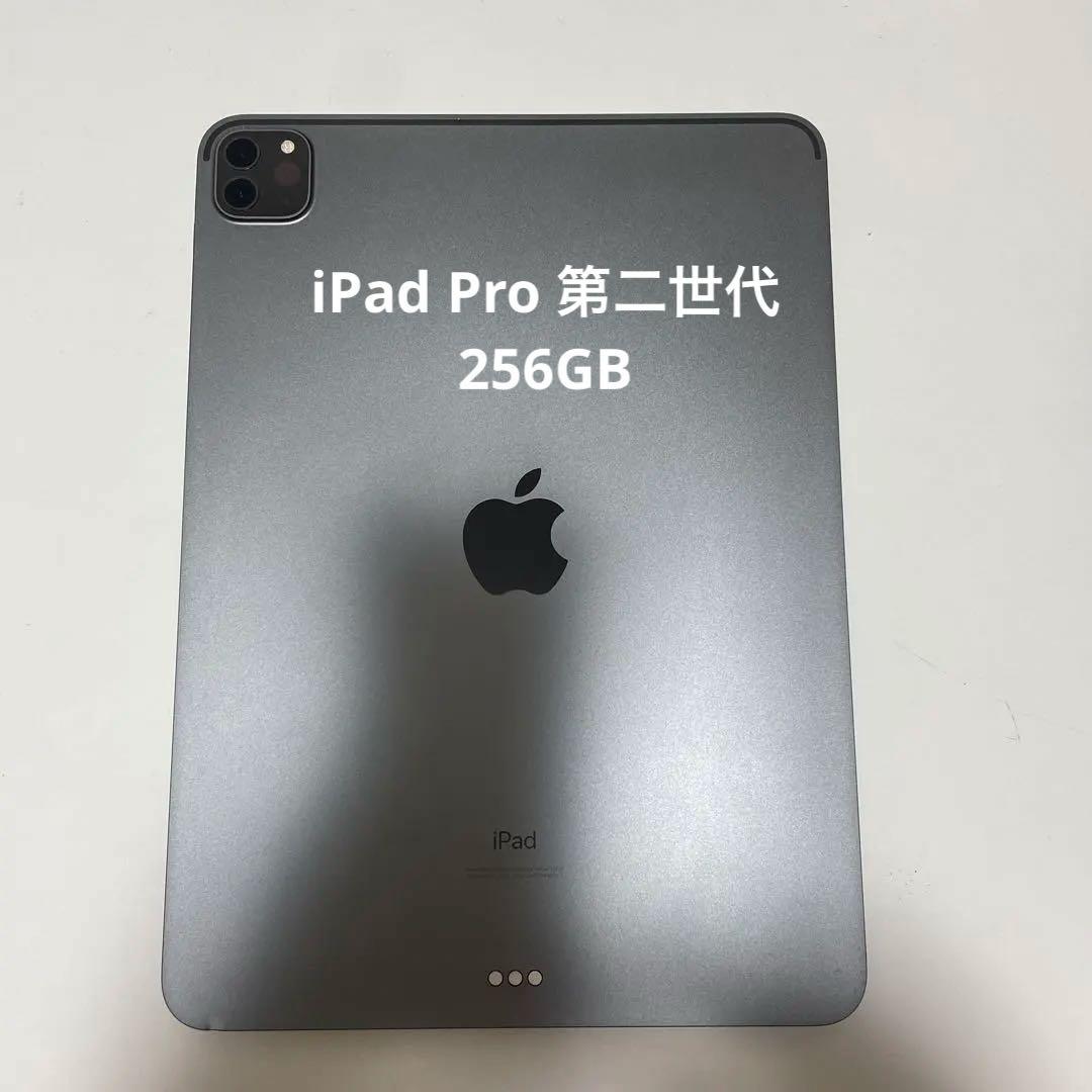 Apple iPad Pro 第2世代 11インチ 256GB スペースグレー