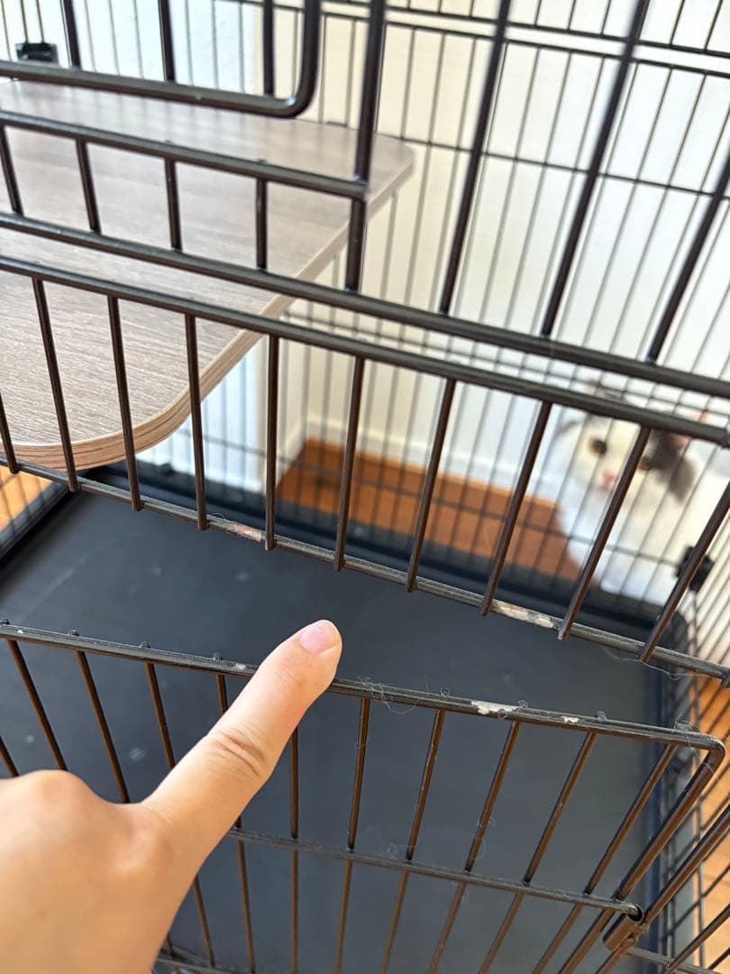 子猫用ケージ （2段・ブラック）