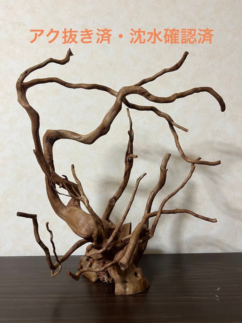 13003 ブランチウッド　流木　アクアリウム　沈水確認済