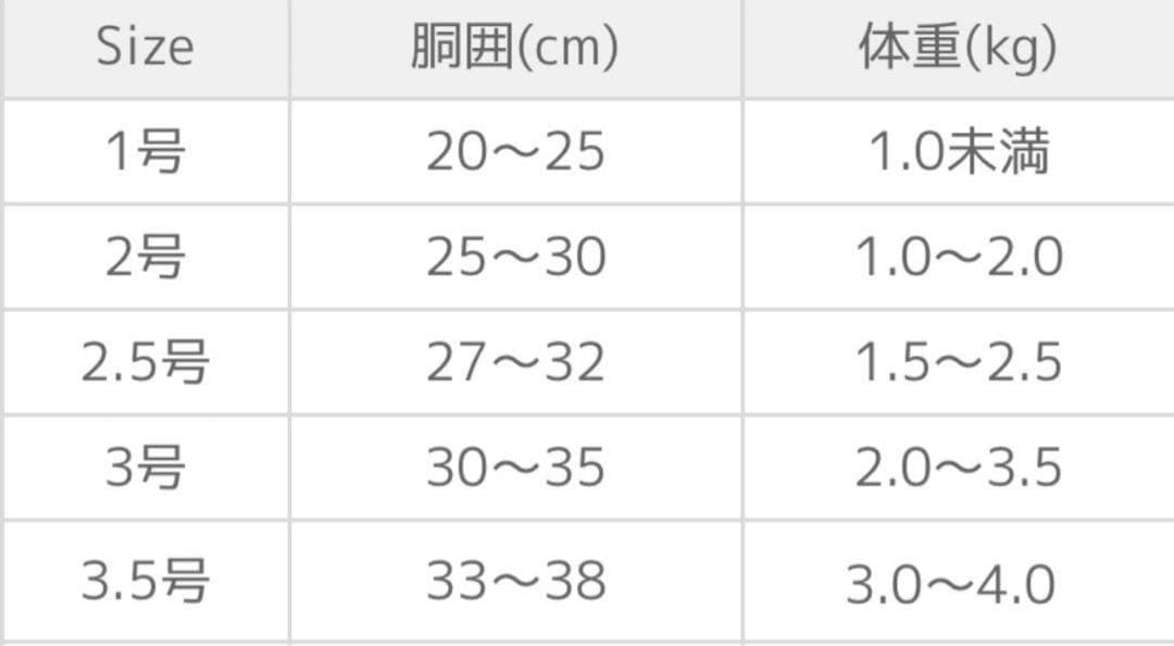 BBベルト＆オールレザーリード