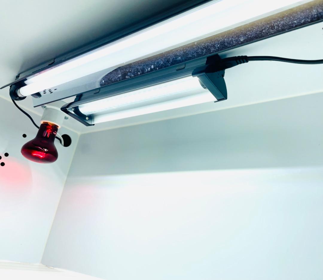 【送料込み】ポポのケージ30ケージ　照明器具付きセット